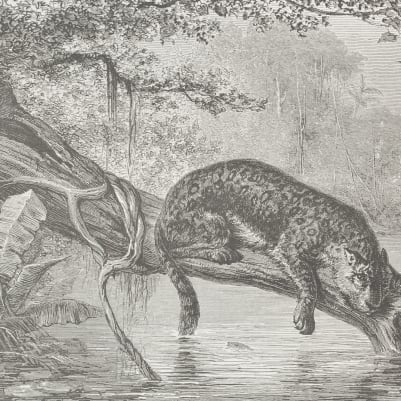 Riverside pattern image