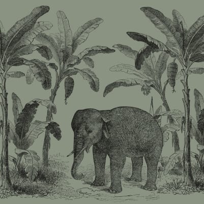 Loxodonta Green pattern image