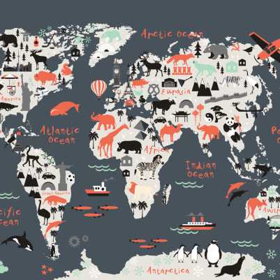 Explorer Navy pattern image