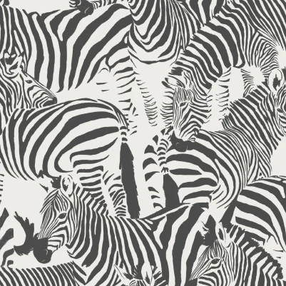 Dazzle Black & White pattern image