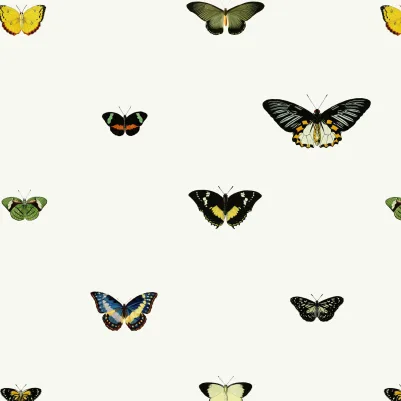 Suzy pattern image