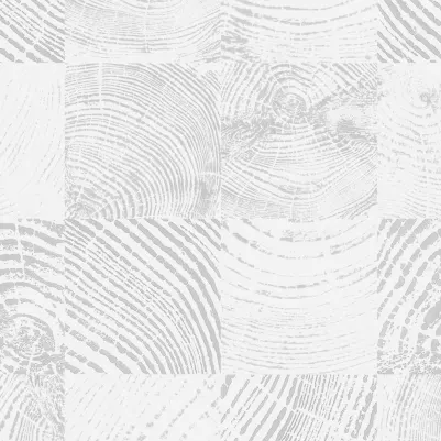 Tundra pattern image