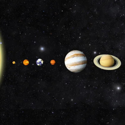 Terrestrial pattern image