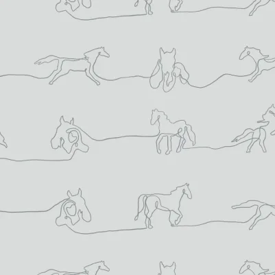 Canter pattern image