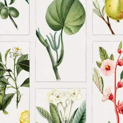 Matchbox pattern image