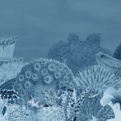 Reef Navy pattern image