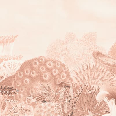 Reef Peach pattern image