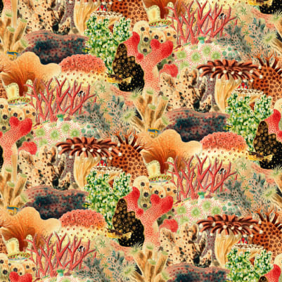 Hexacorallia Multi pattern image