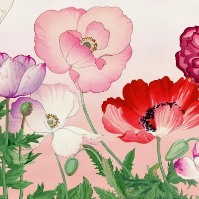 Papaver pattern image