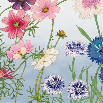 Cosmos pattern image