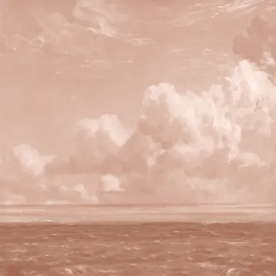 Golden Hour Pink pattern image