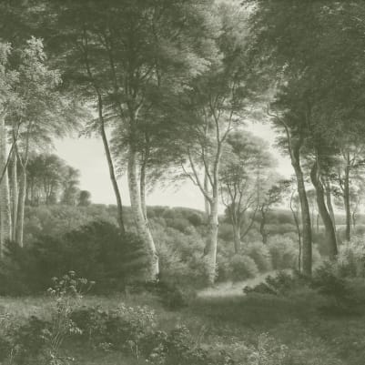 Delhoved Forest Green pattern image