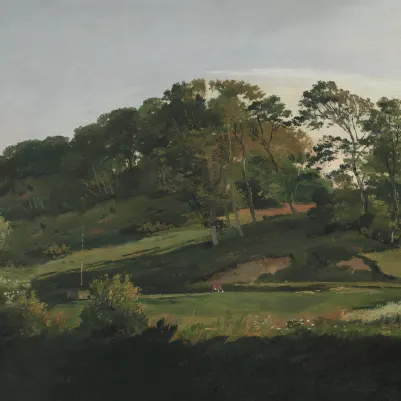 Sørupvang Hills Classic pattern image