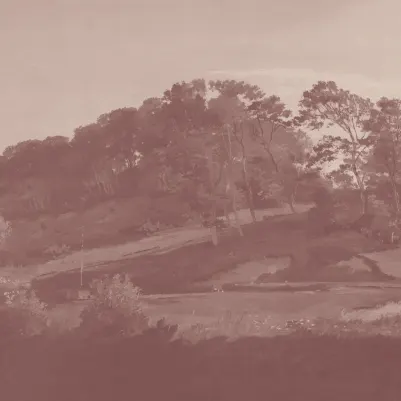 Sørupvang Hills Pink pattern image