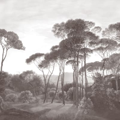 Tivoli Grey pattern image