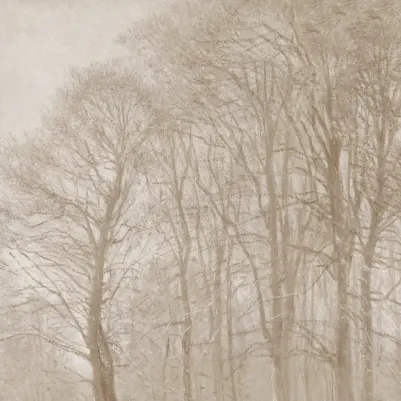 Coppice Beige pattern image