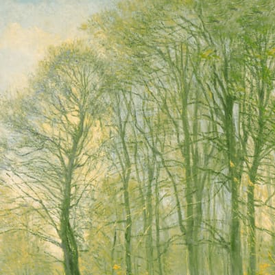 Coppice Green pattern image