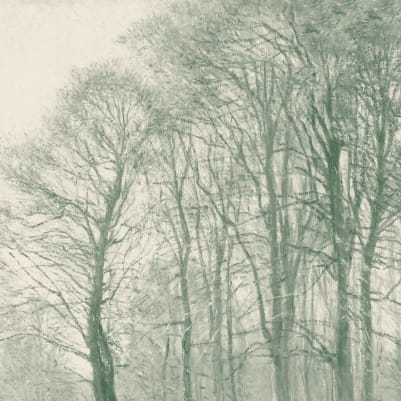 Coppice Teal pattern image