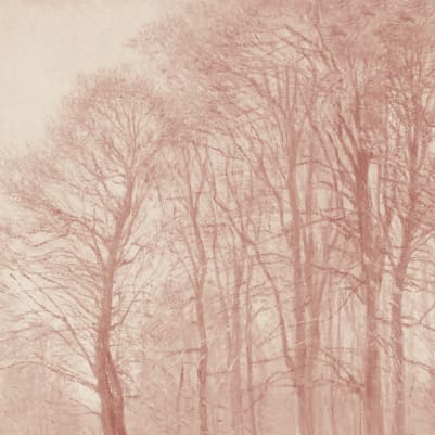 Coppice Pink pattern image