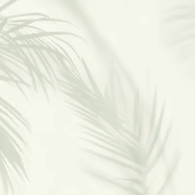 Shade Light Green pattern image