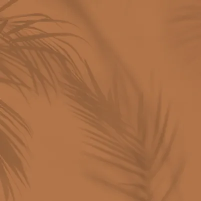 Shade Terracotta pattern image