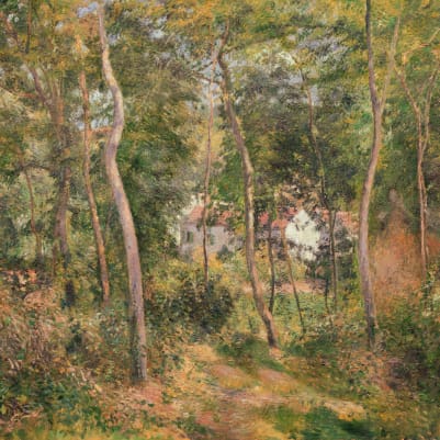 Wild Wood Classic pattern image