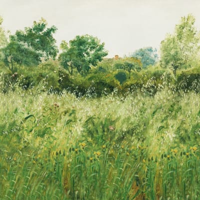 Barley Fields Green pattern image