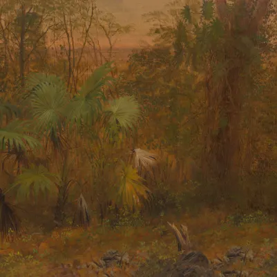 Elysium pattern image