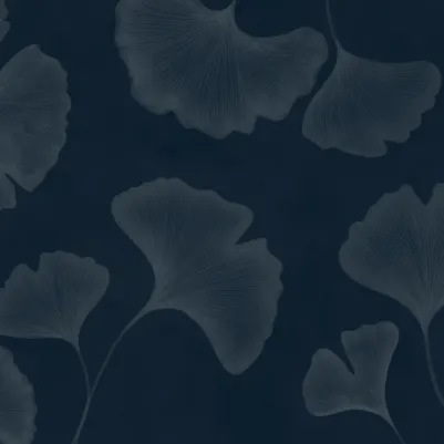 Ginkgo Navy pattern image