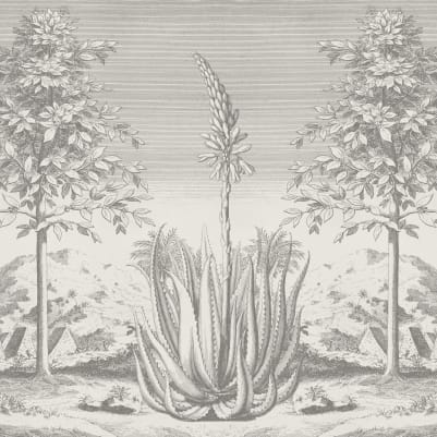 Aloe Grey pattern image