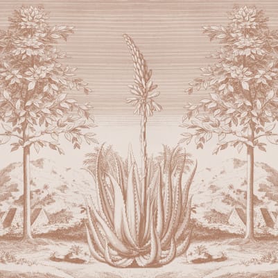 Aloe Terracotta pattern image