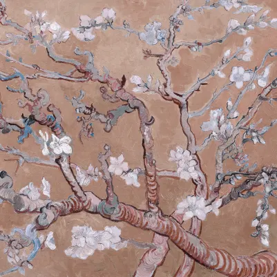 Almond Branches Pink pattern image