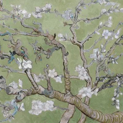 Almond Branches Green pattern image