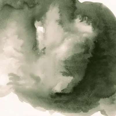 Zephyr Green pattern image