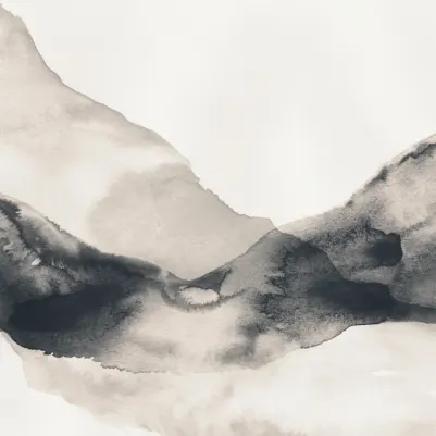 Echo Navy pattern image