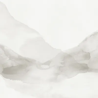 Echo Beige pattern image