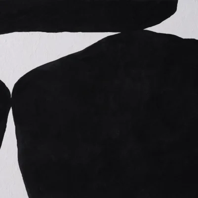 Obscura Black pattern image