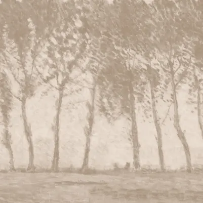 Timberline Neutral pattern image