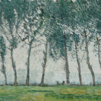 Timberline Classic pattern image