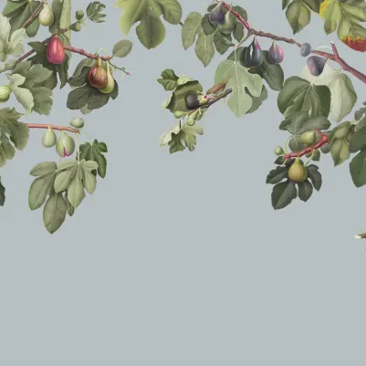 Ficus Blue pattern image