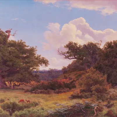 Doe Glade Sunset pattern image