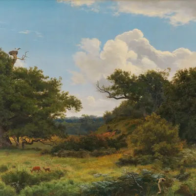 Doe Glade Classic pattern image