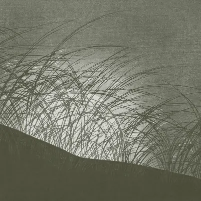 Komorebi Green pattern image