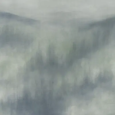 Mistwood Dark pattern image