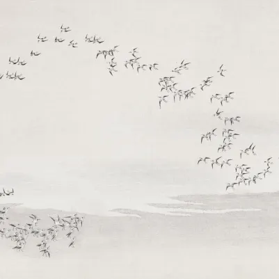 Flocking Grey pattern image