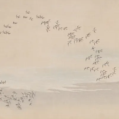 Flocking pattern image