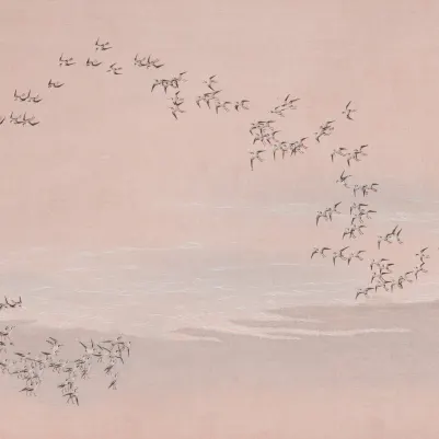 Flocking Pink pattern image