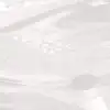 Immerse