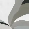 Magnolia Neutral