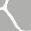 Savanna Grey